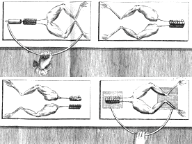 Diagram from Volta’s 1800 paper. The pile is made using discs of silver (A) and zinc (Z) linked in series with card soaked in salt water.